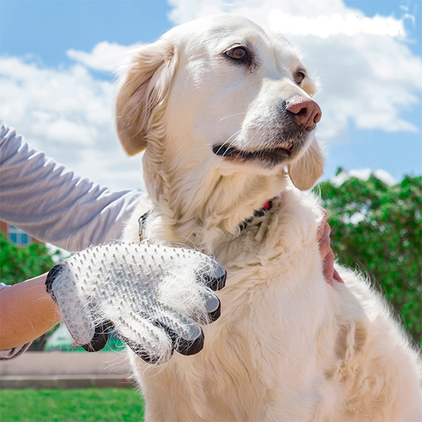 Lemmikin harjaus- ja hierontakäsine