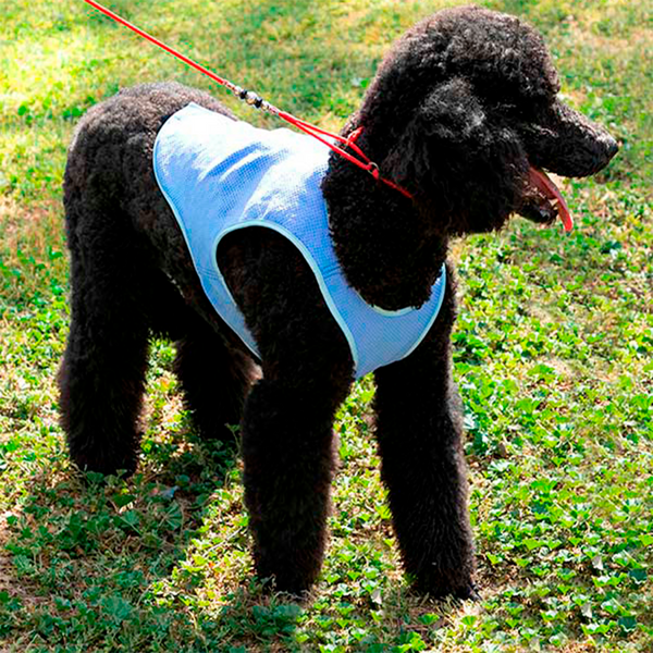 Viilennysliivi koiralle